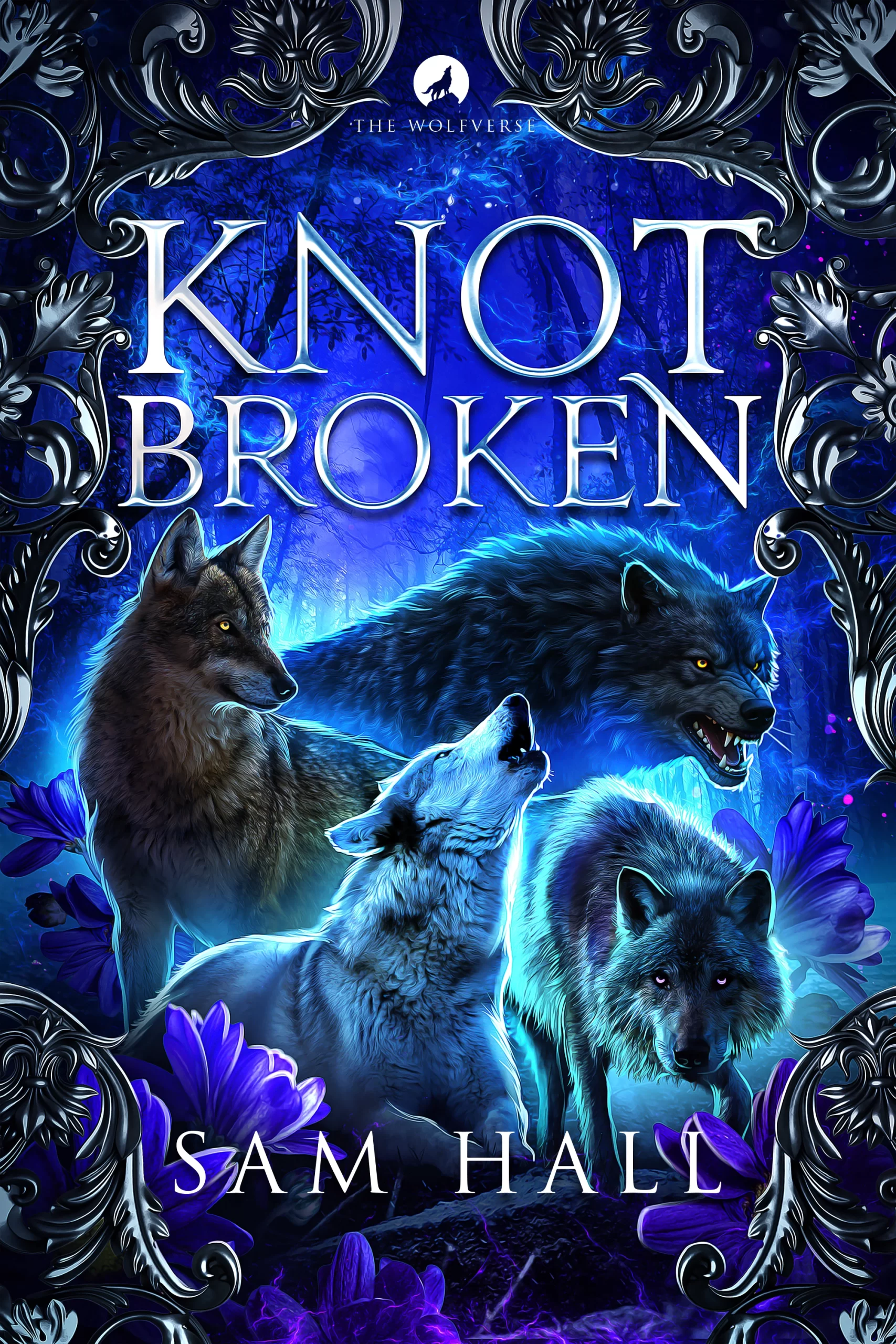 Knot-Broken- Sam Hall